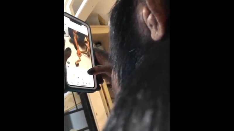 Шимпанзе и инстаграм