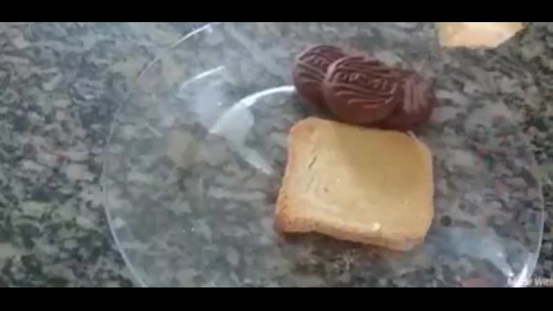 Тост и печенье со спермой, для любимой женщины (cum, sperm, cumfood)