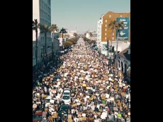 Blm/antifa marxist rally in l a they're all blaming trump for the coronavirus numbers in the usa