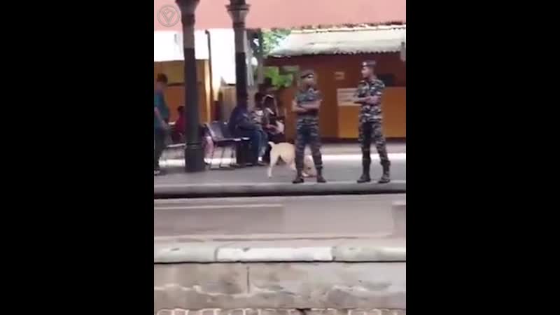 Сэр, разрешите подурачиться?