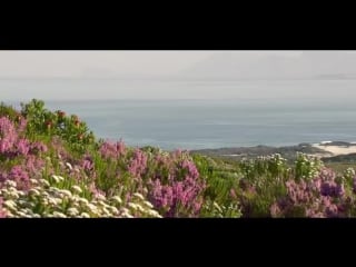 Leading edge holidays presents grootbos private nature reserve unique in every way