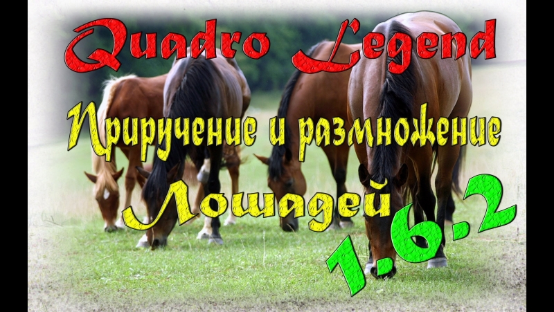 13 приручение и размножение лошадей в minecraft