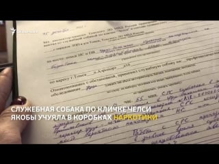 Поиск молодые в посылке для штаба навального в томске |