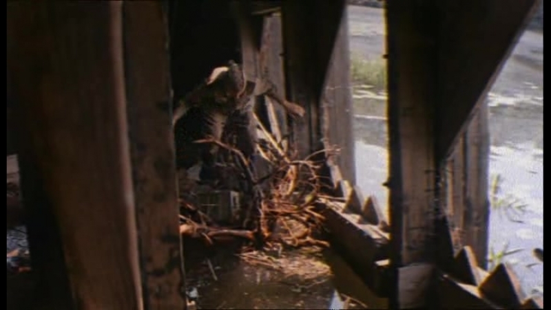 Дачная поездка сержанта цыбули (1979)