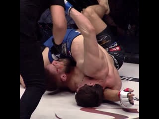 Шамиль мусаев крайний бой в ksw 🇵🇱