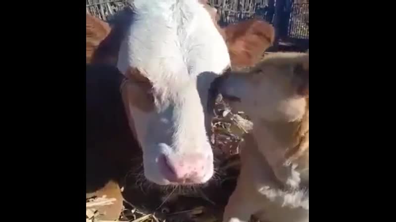 Suсh warmth and lоvе whоlеsоmе friyay is whоlеsоmе!!