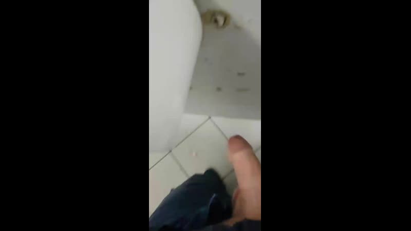 Новосиб глори