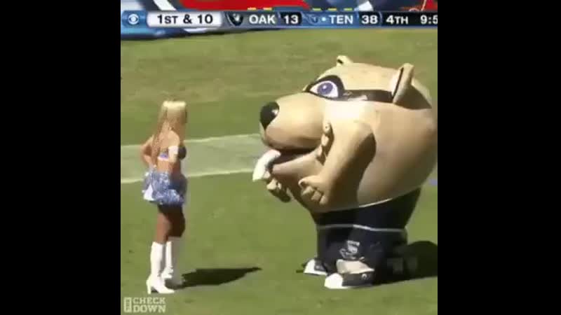 Сожрал / doodoser