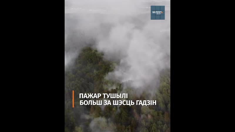 У берасці згарэла каля гектару лесу