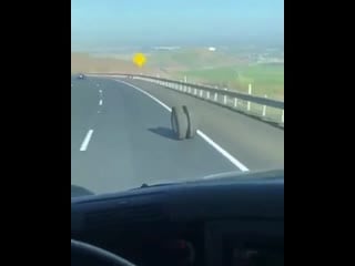 Dnevnik logista cdq qd fr mp4