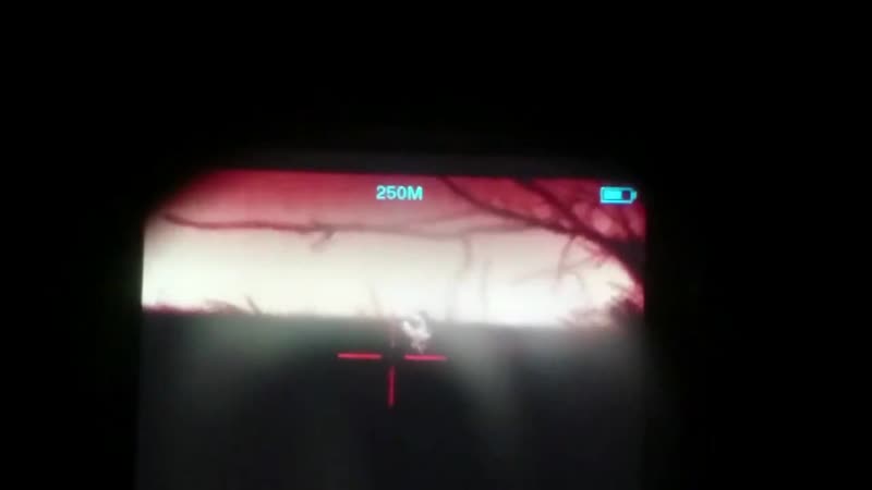 Точный porn video – Точный выстрел