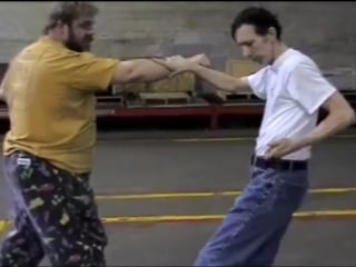 Kyoshi roy lee osborne iii shorinji test research dojo