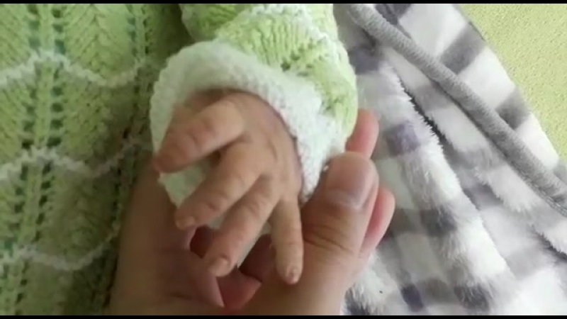 Распакоа ярика после реставрации😇