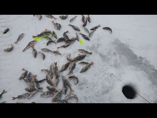 Video 20191201 153033 mp4