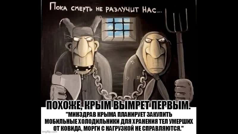 Товарищи москвичи! в крымских моргах уже нет мест, выбирайте пожалуйста другие маршруты путешествий во время локдауна