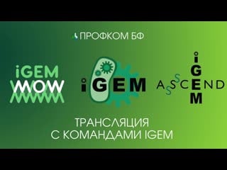 Трансляция с командами igem