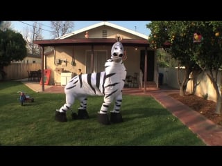 Молодые zebra rhett link