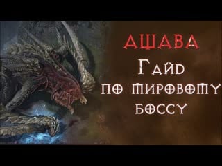 Где найти, когда будет призыв, советы по тактике ашава diablo 4 beta