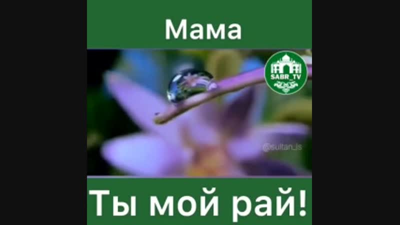 Анашым жаннатым (240p) mp4