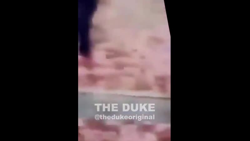 Denmark iraqi goat fuckers kick and beat up an elderly danish woman