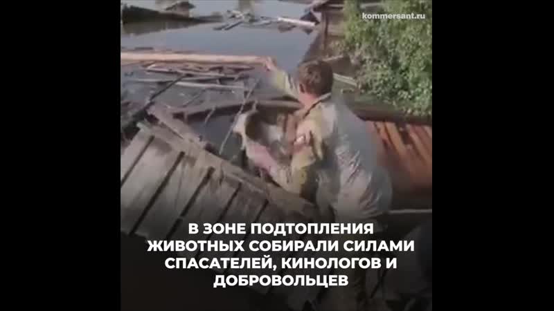 Как спасали молодые в затопленном тулуне