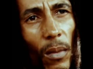 Kino qr 20191229 13 mp4