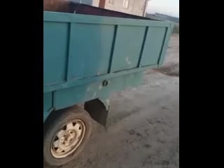 Видео от бекмурата бекбенбетова