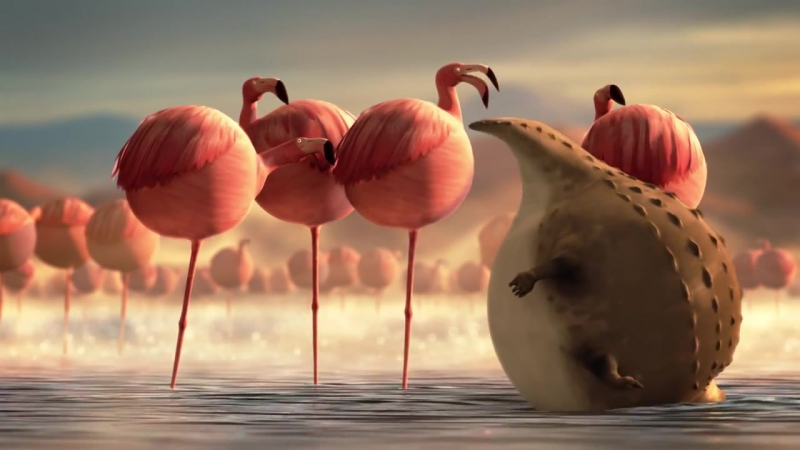 Rollin safari flamingos