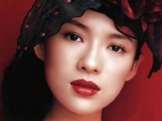 Zhang ziyi