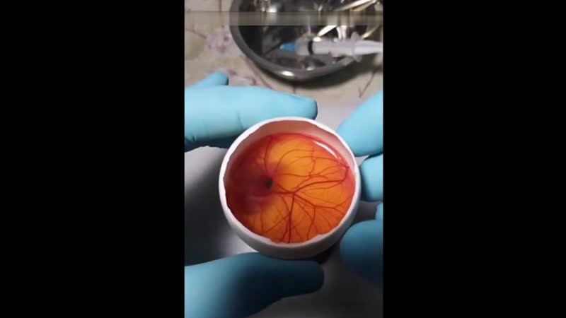 Познавательно, но выглядит жутковато