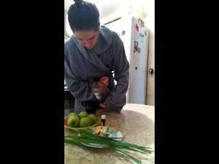 Настя калинина