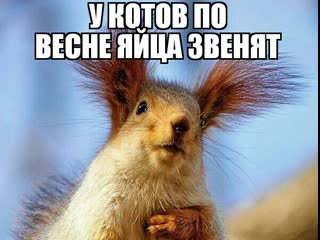 У меня яйца звенят ★ ♛ 😜😉► #юмор ◄ ╬₪🤣😉●👍🏻 #прикол