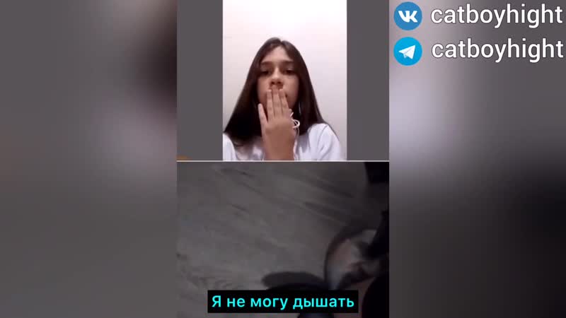 Полицейским, задушившим джорда флойда, был catboykami