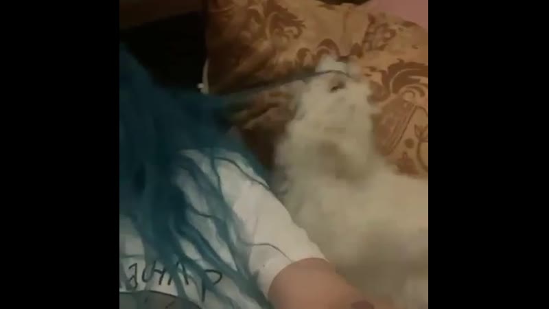 Тыква porn video – Vakuolly / оля тыква
