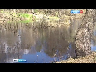 В подмосковье активизировались гадюки