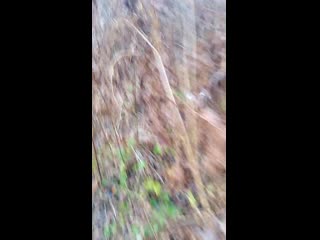 Vid 20191029 161912 mp4