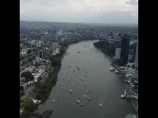 Напугал офисный планктон