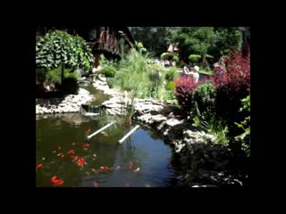 В парке лога