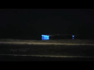 Bioluminescent plankton