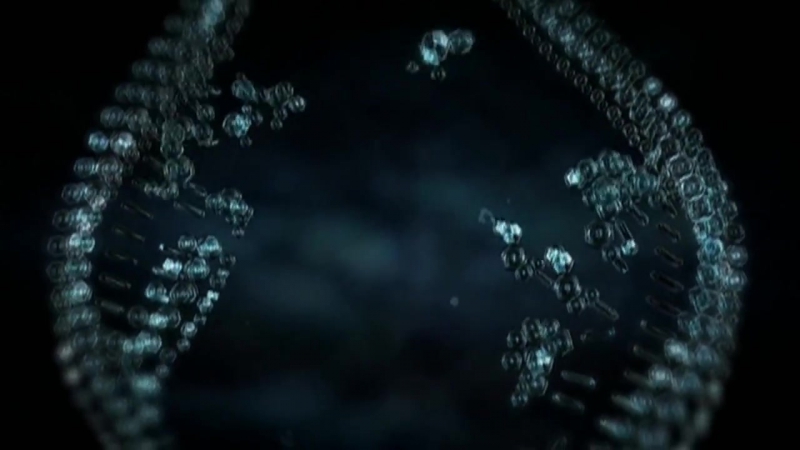 Видеогид 2 неделя генетическое тестирование