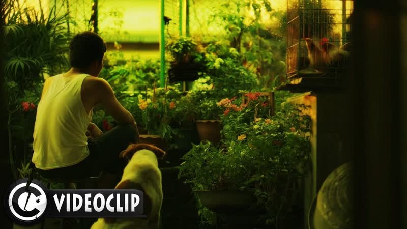 Janji heroes tonight [ft johnning] (unsung hero) ( живые эмоции, трогательно, душевно, sexy )