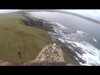 Eagle headcam captures stunning british cliffs