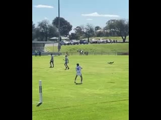 Junior player porn by a magpie during the game mp4