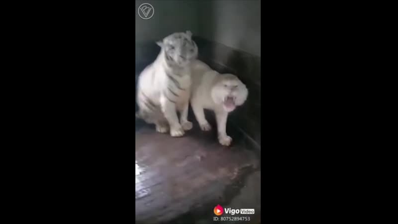 Друг зовёт тебя на рыбалку, а твоя жена против