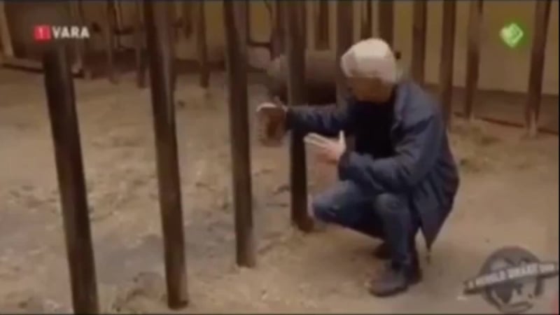 Детёныши носорогов (vhs video)