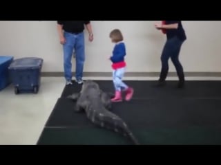 Little khaleesi mother of alligators