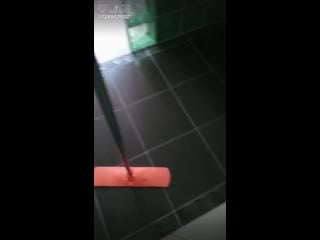 Мистер пропер