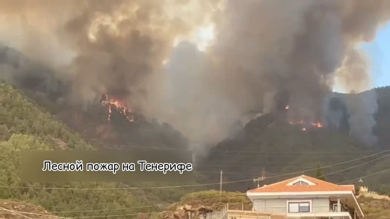 Лесной пожар на тенерифе за сутки охватил 1,8 тыс га