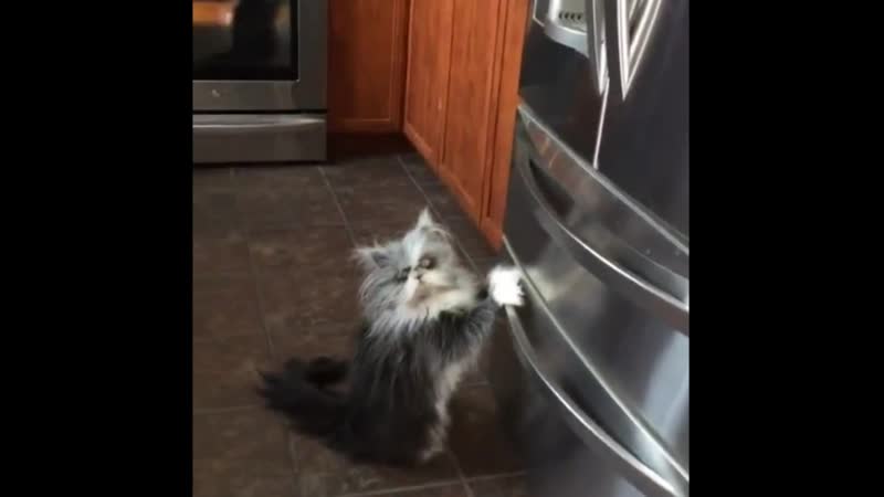 Домовенок кузя