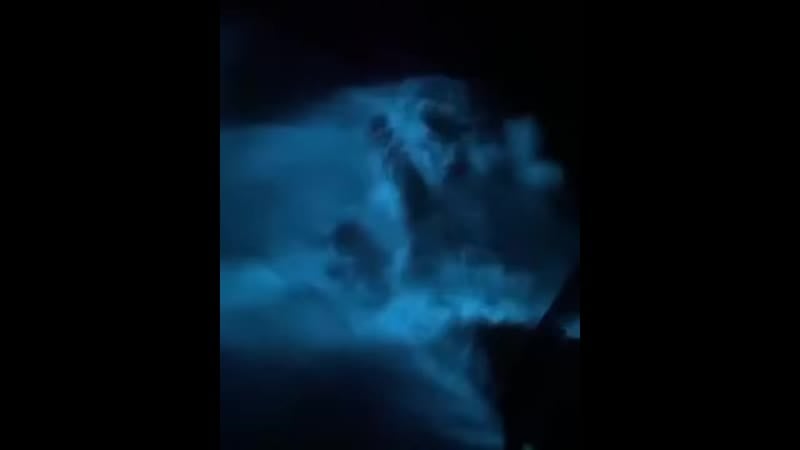 Биолюминесцентный планктон